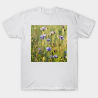 Cornflower T-Shirt